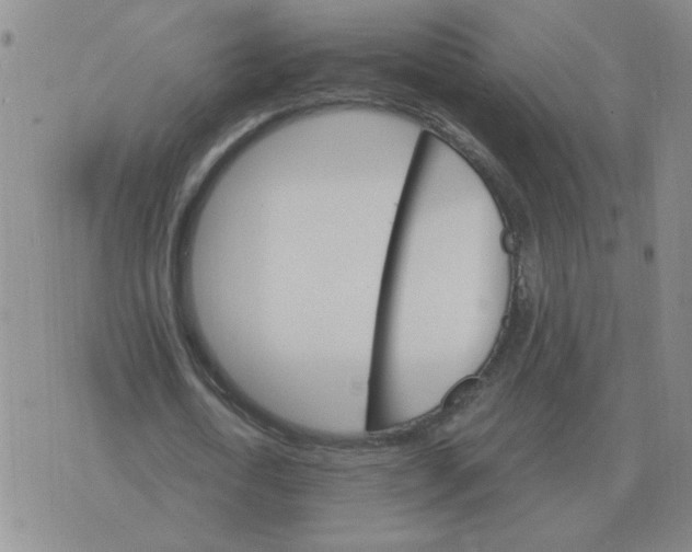 X0000075860722200610061936