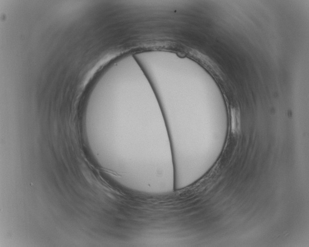 X0000075860723200610061936