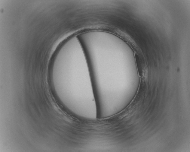 X0000075860724200610061936