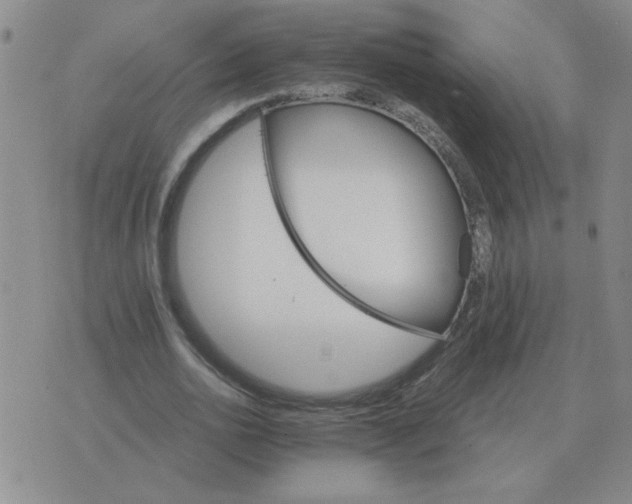 X0000075860726200610061936