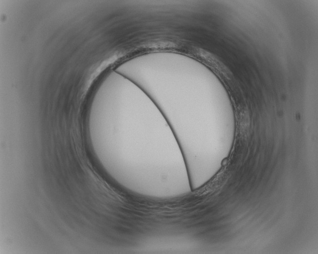 X0000075860727200610061936