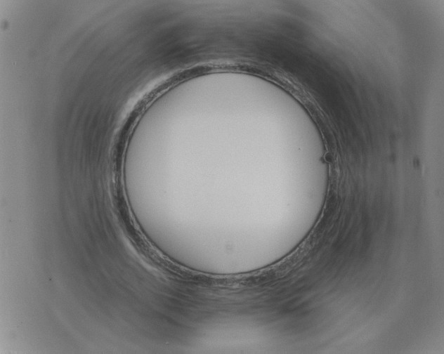 X0000075860728200610061936