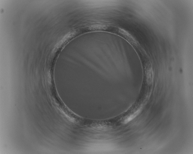 X0000075860729200610061936