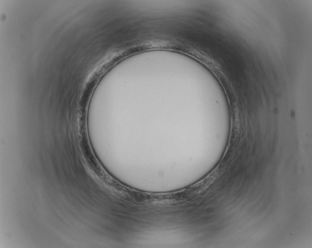 X0000075860730200610061936