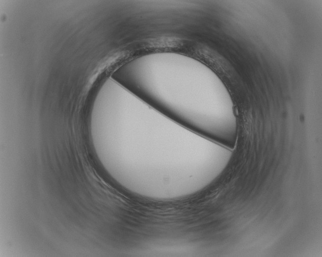 X0000075860731200610061936