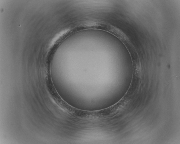 X0000075860732200610061936