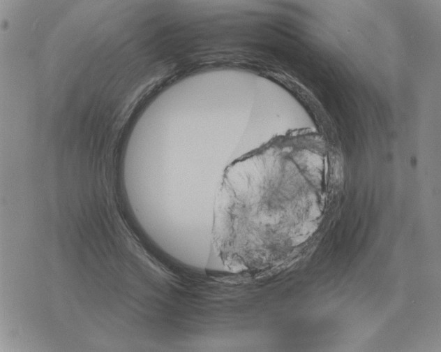 X0000075860733200610061936