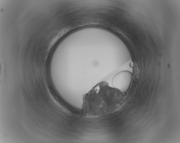 X0000075860734200610061936