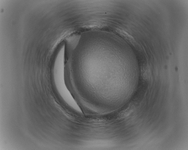 X0000075860735200610061936