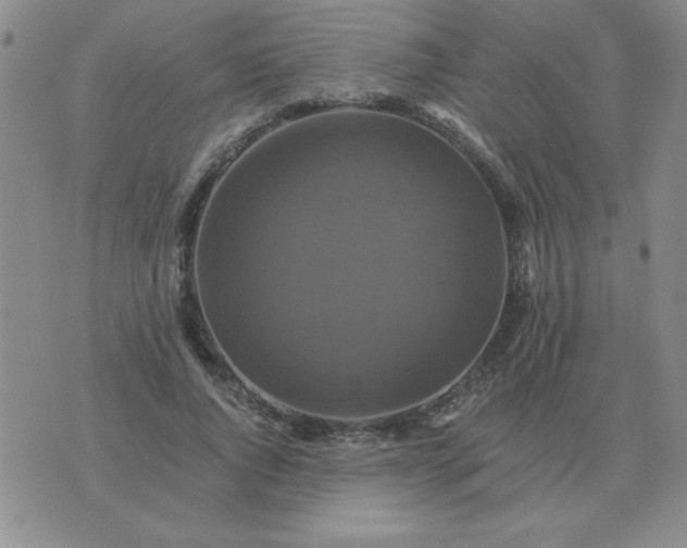 X0000075860736200610061936