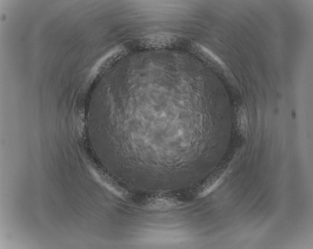 X0000075860737200610061936