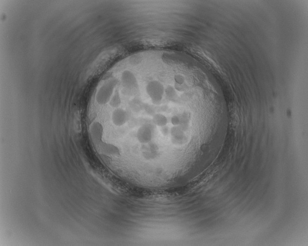 X0000075860738200610061936