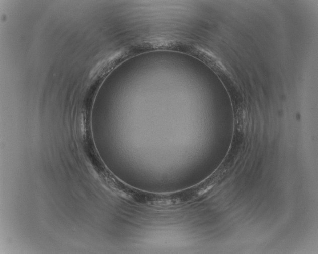 X0000075860740200610061937