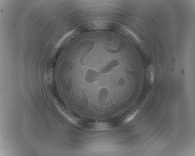 X0000075860741200610061937