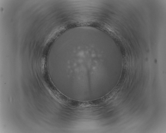 X0000075860742200610061937