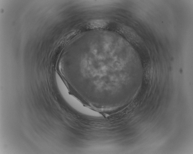 X0000075860743200610061937