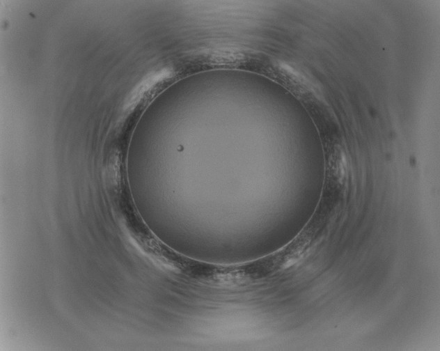 X0000075860744200610061937