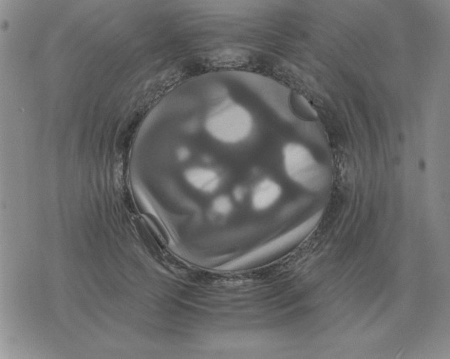 X0000075860745200610061937