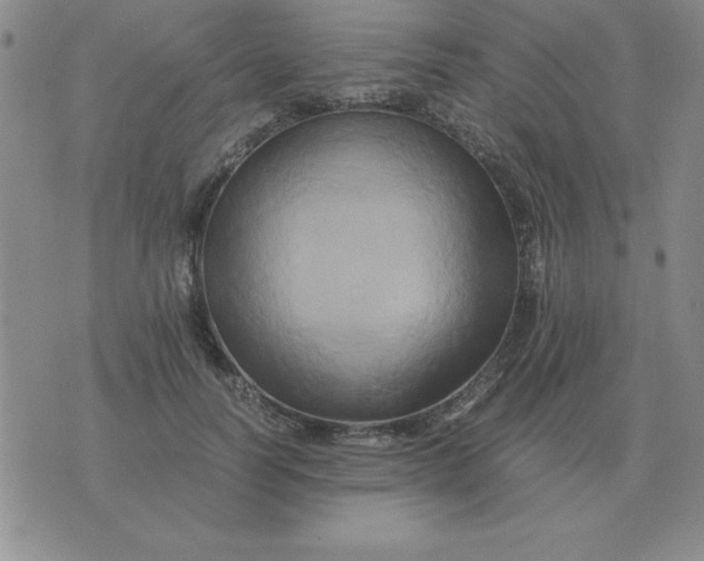 X0000075860746200610061937