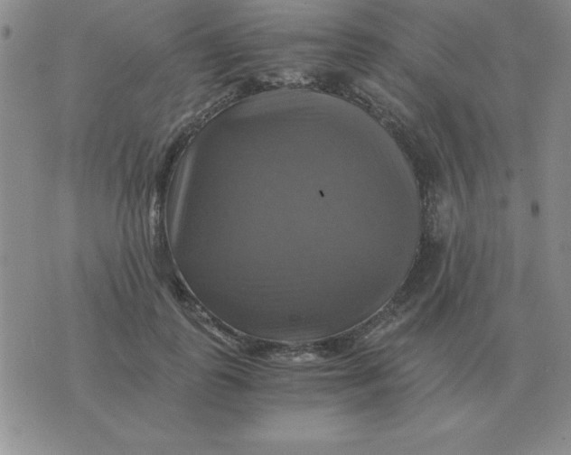 X0000075860747200610061937