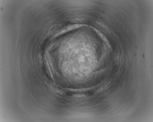 X0000075860749200610061937