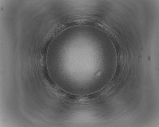 X0000075860750200610061937