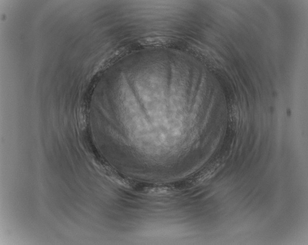 X0000075860751200610061937