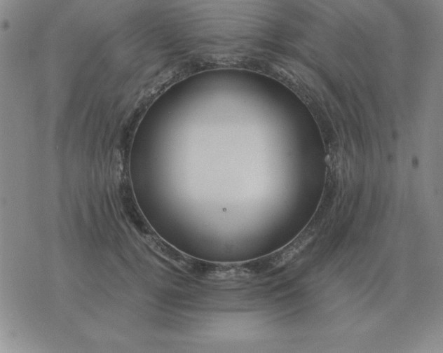 X0000075860752200610061937