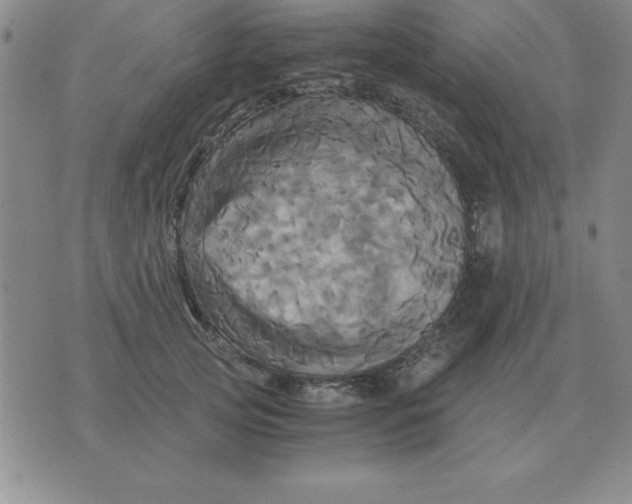 X0000075860753200610061937