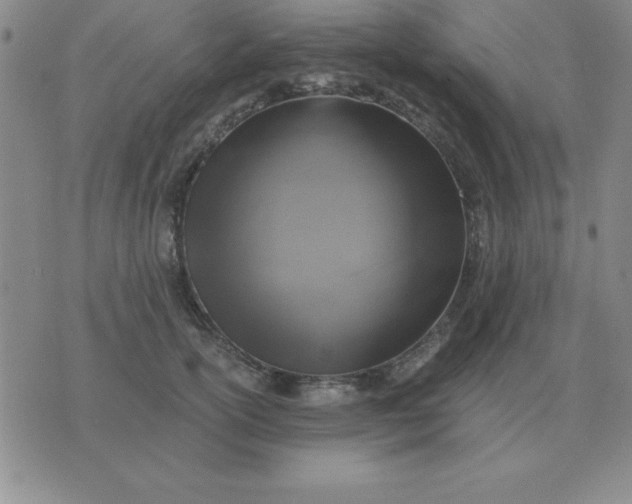 X0000075860754200610061937