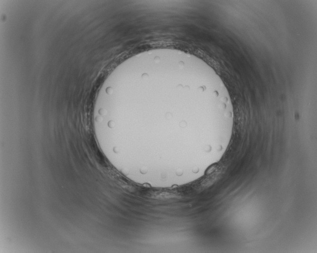 X0000075860755200610061937