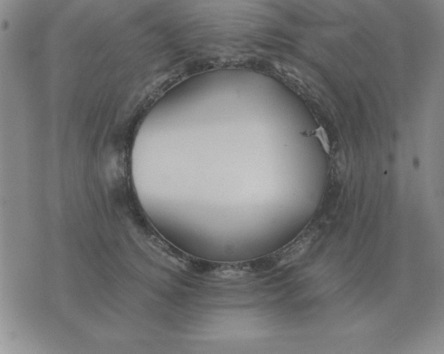 X0000075860756200610061937