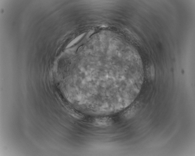 X0000075860757200610061937