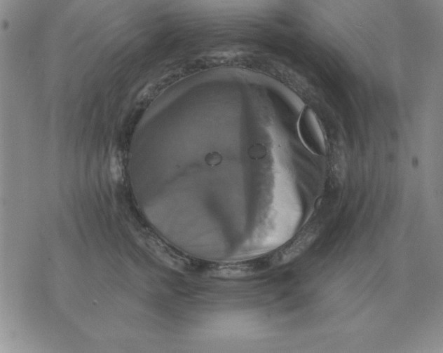 X0000075860758200610061937