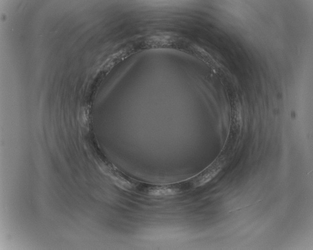 X0000075860759200610061937