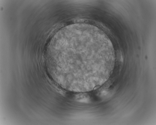 X0000075860761200610061937