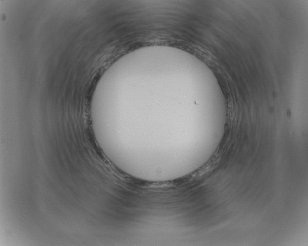 X0000075860762200610061937