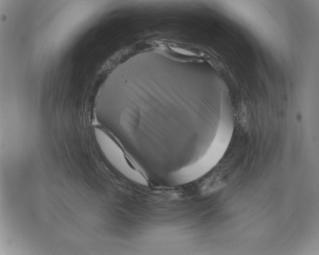 X0000075860763200610061937