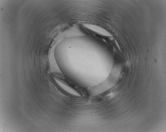 X0000075860764200610061937