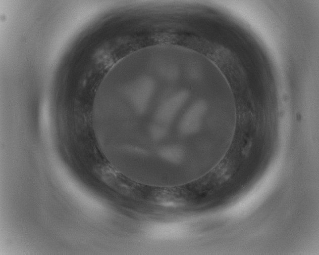 X0000075860765200610061937