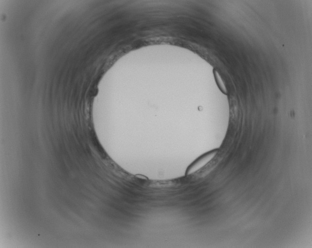 X0000075860767200610061937