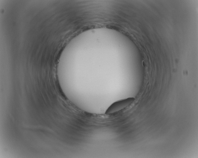 X0000075860768200610061937