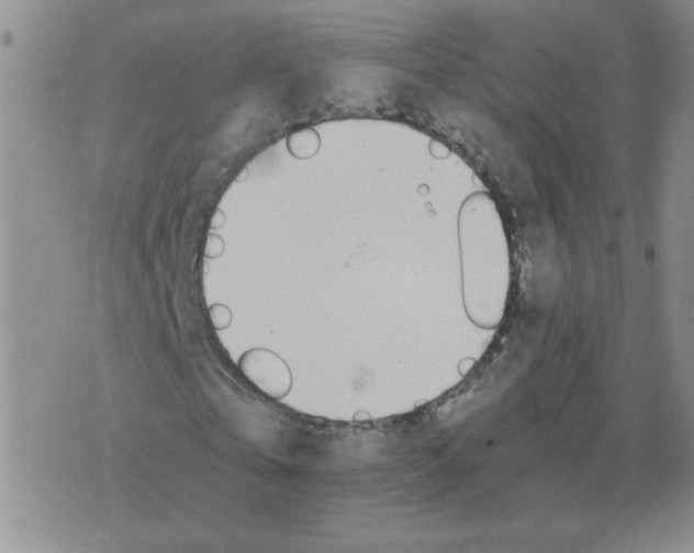 X0000075860769200610061936