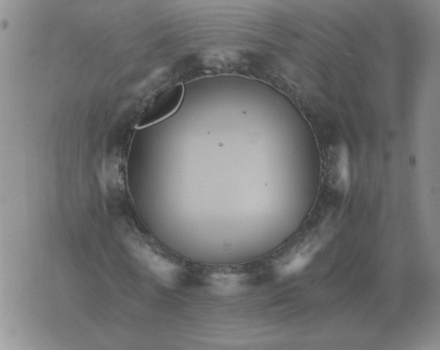 X0000075860770200610061936