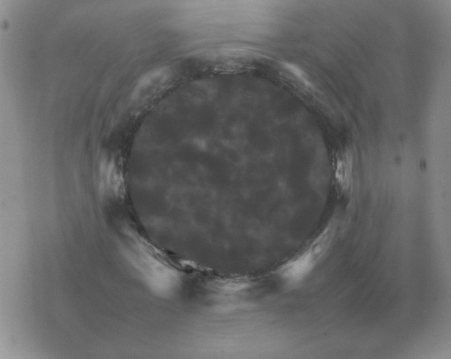 X0000075860771200610061936