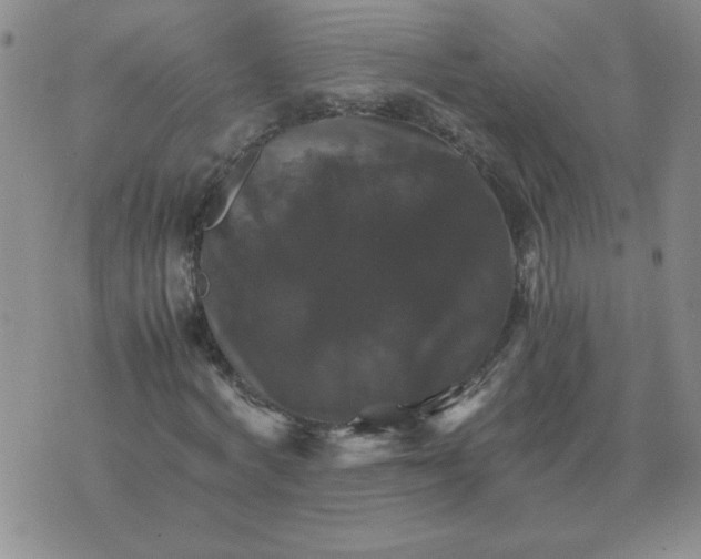 X0000075860772200610061936