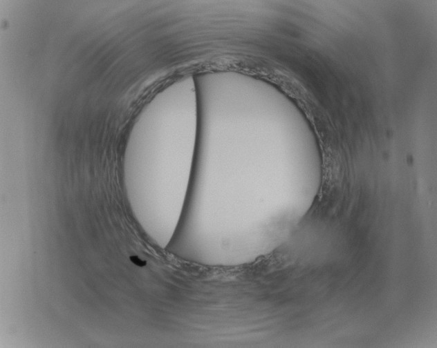 X0000075860773200610061936