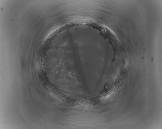 X0000075860775200610061936