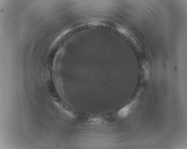 X0000075860776200610061936