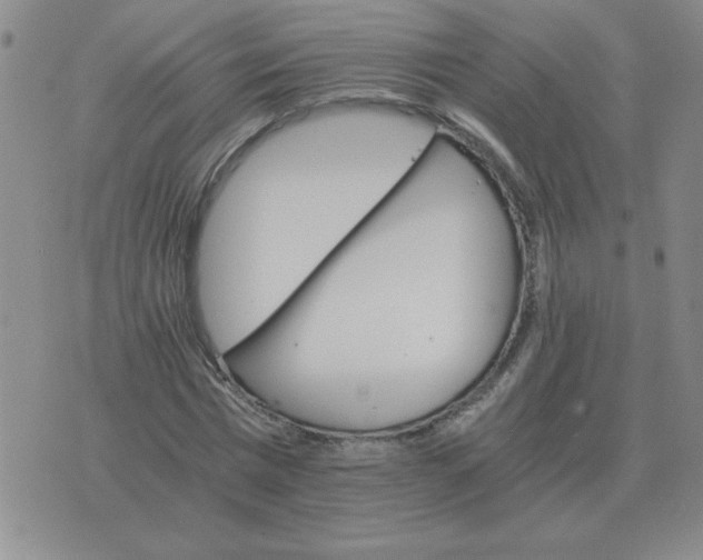 X0000075860777200610061936